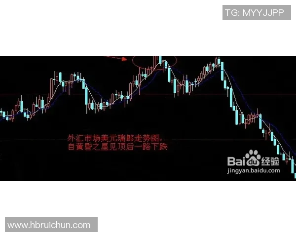 足球明星热度变化全景图解及最新动态分析 足球明星热度变化全景图解及最新动态分析