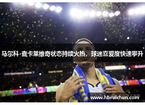 马尔科-查卡莱维奇状态持续火热，球迷喜爱度快速攀升